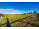 10 Ibis Place, Scone NSW 2337