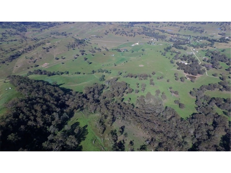 1021 Muscle Creek Road, Muscle Creek NSW 2333