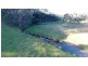1021 Muscle Creek Road, Muscle Creek NSW 2333