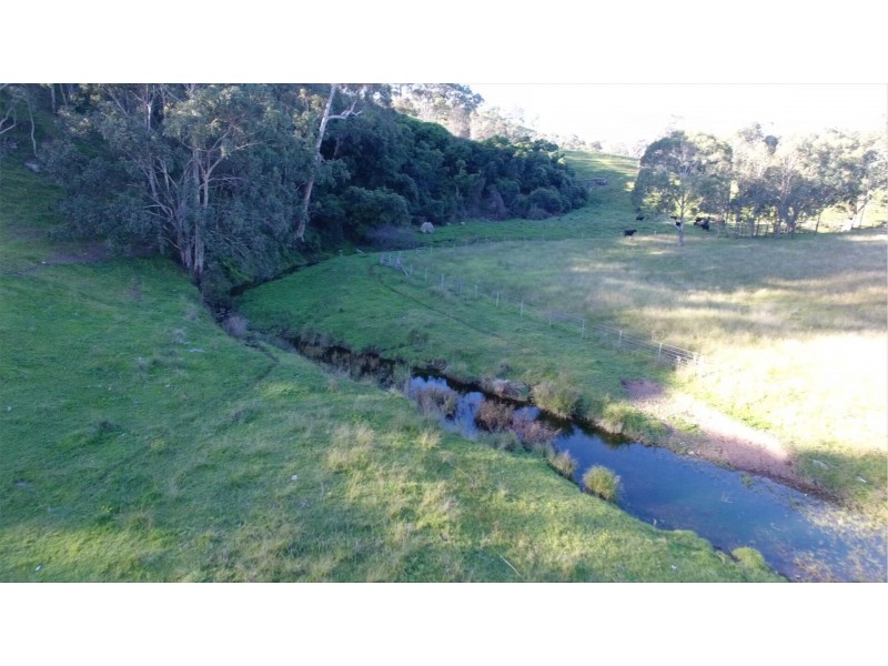 1021 Muscle Creek Road, Muscle Creek NSW 2333