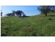 1021 Muscle Creek Road, Muscle Creek NSW 2333