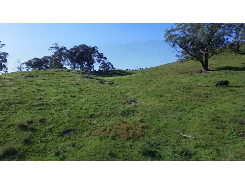 1021 Muscle Creek Road, Muscle Creek NSW 2333