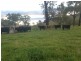 1021 Muscle Creek Road, Muscle Creek NSW 2333