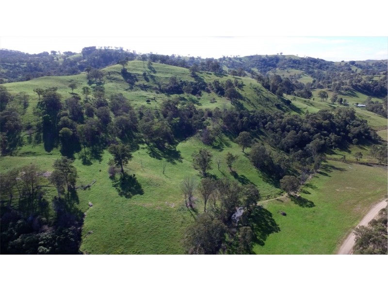 1021 Muscle Creek Road, Muscle Creek NSW 2333
