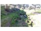 1021 Muscle Creek Road, Muscle Creek NSW 2333