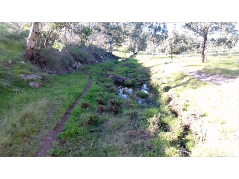 1021 Muscle Creek Road, Muscle Creek NSW 2333