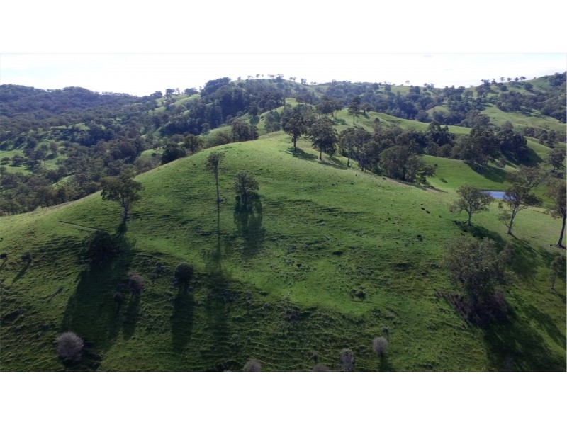 1021 Muscle Creek Road, Muscle Creek NSW 2333