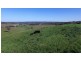 1021 Muscle Creek Road, Muscle Creek NSW 2333