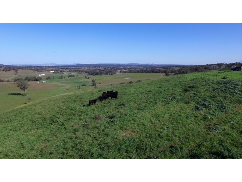 1021 Muscle Creek Road, Muscle Creek NSW 2333