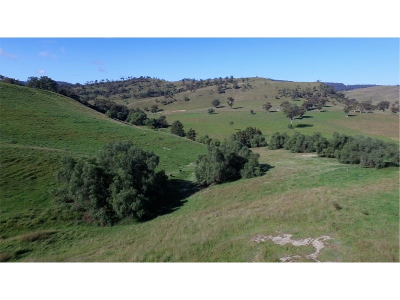 1021 Muscle Creek Road, Muscle Creek NSW 2333