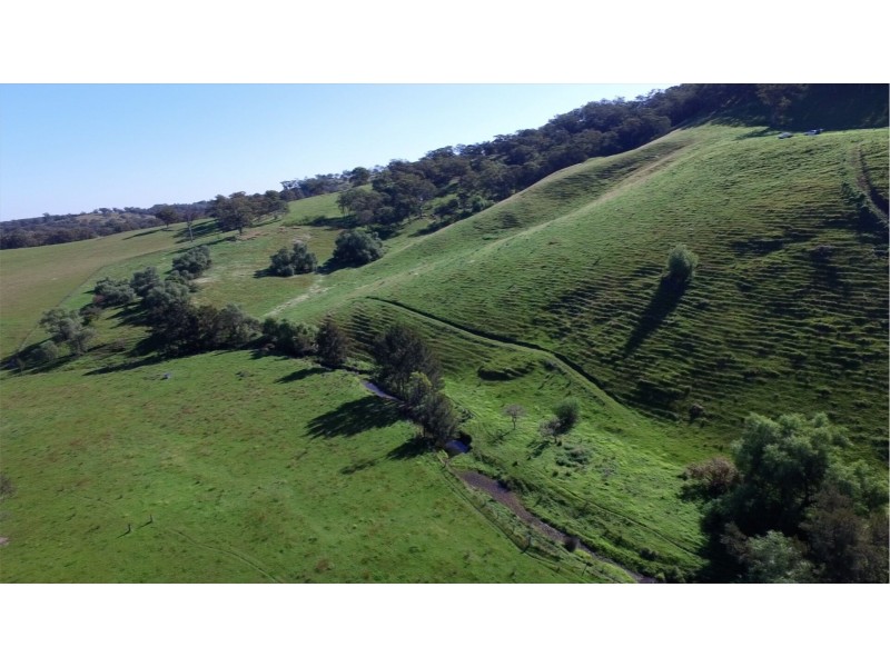 1021 Muscle Creek Road, Muscle Creek NSW 2333