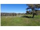 1021 Muscle Creek Road, Muscle Creek NSW 2333