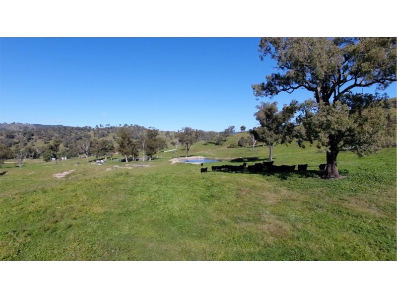 1021 Muscle Creek Road, Muscle Creek NSW 2333