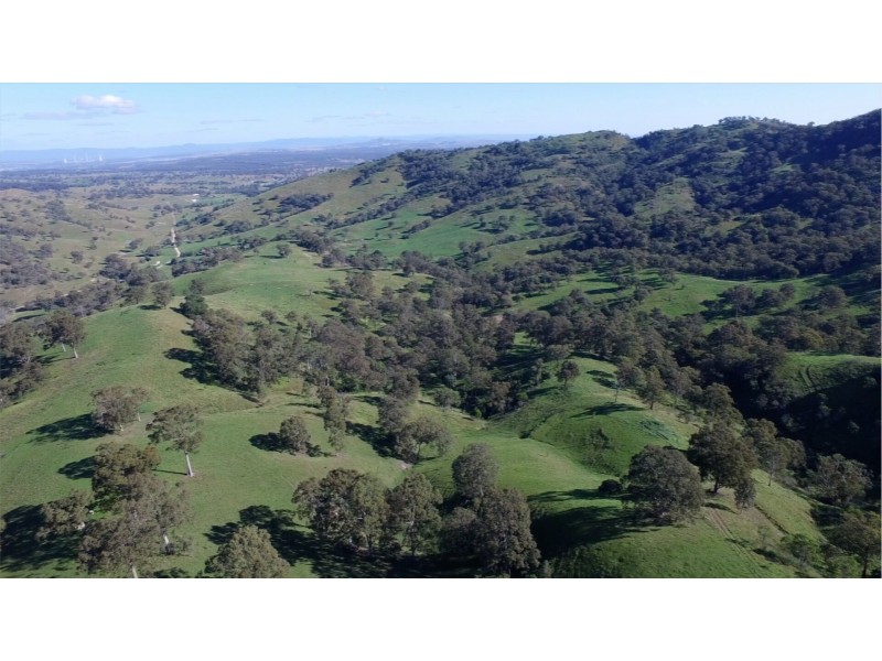 1021 Muscle Creek Road, Muscle Creek NSW 2333