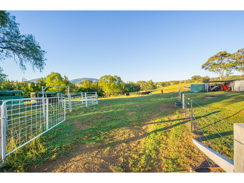 1967 Waverley Street, Gundy NSW 2337