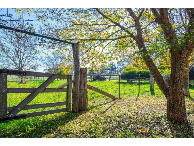 17C Kelly Street, Scone NSW 2337
