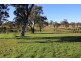 10 Jillaroo Way, Muswellbrook NSW 2333