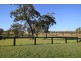 10 Jillaroo Way, Muswellbrook NSW 2333