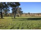10 Jillaroo Way, Muswellbrook NSW 2333