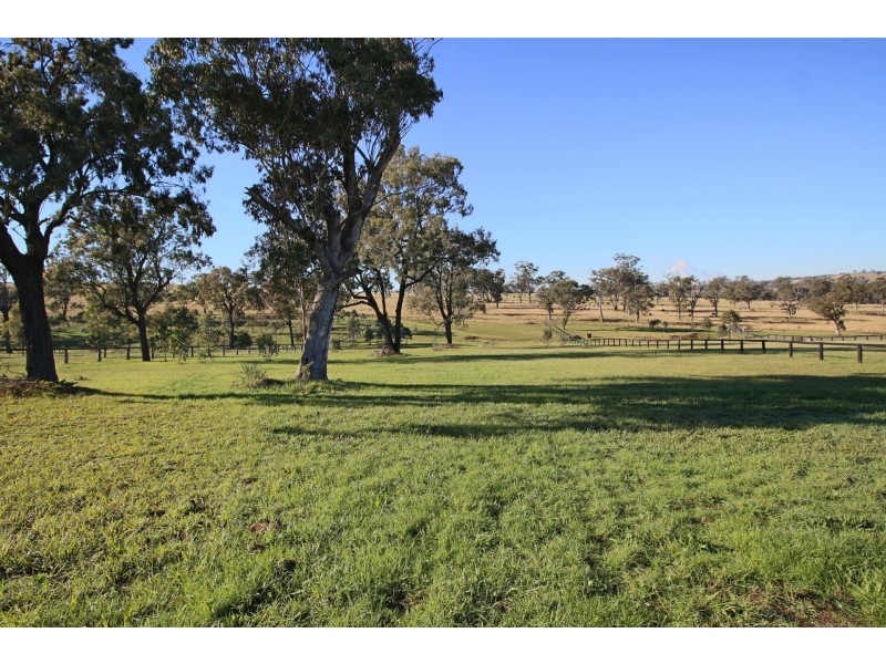 10 Jillaroo Way, Muswellbrook NSW 2333