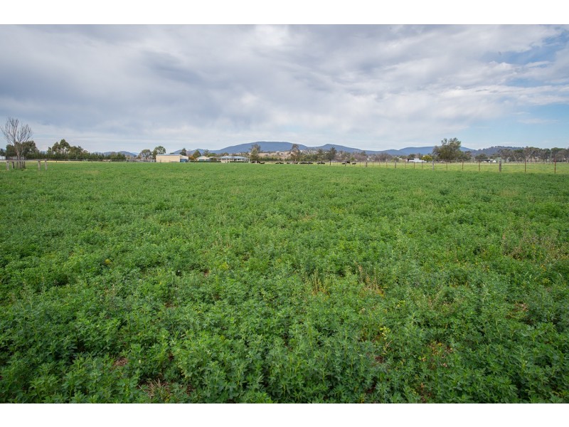 40 Blairmore Lane, Aberdeen NSW 2336