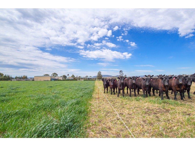 40 Blairmore Lane, Aberdeen NSW 2336