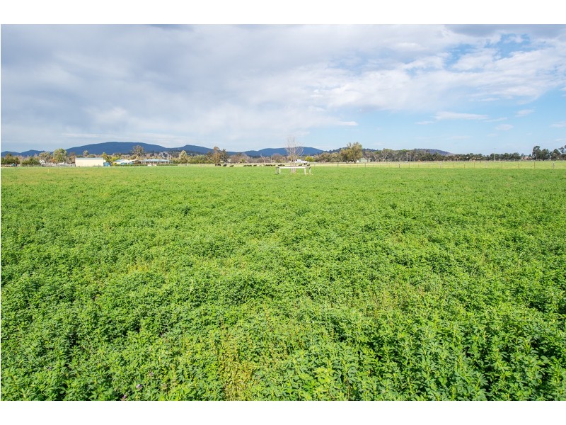 40 Blairmore Lane, Aberdeen NSW 2336