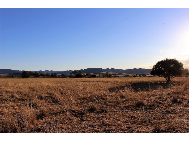 420 Dalswinton Road, Denman NSW 2328