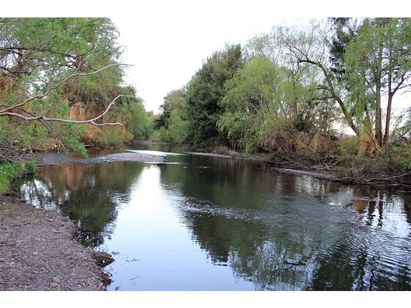 420 Dalswinton Road, Denman NSW 2328