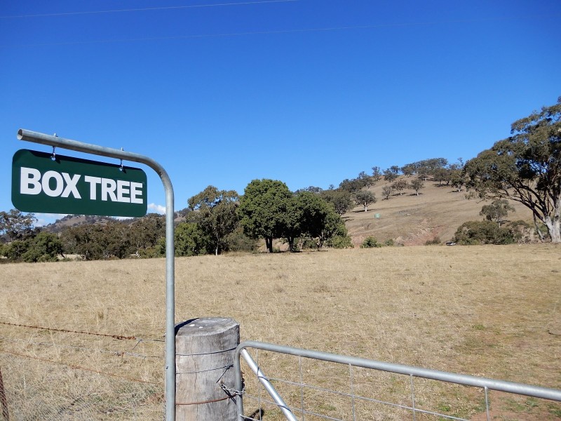 190 Coogah Road, Blandford NSW 2338