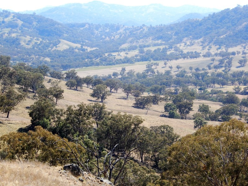 190 Coogah Road, Blandford NSW 2338