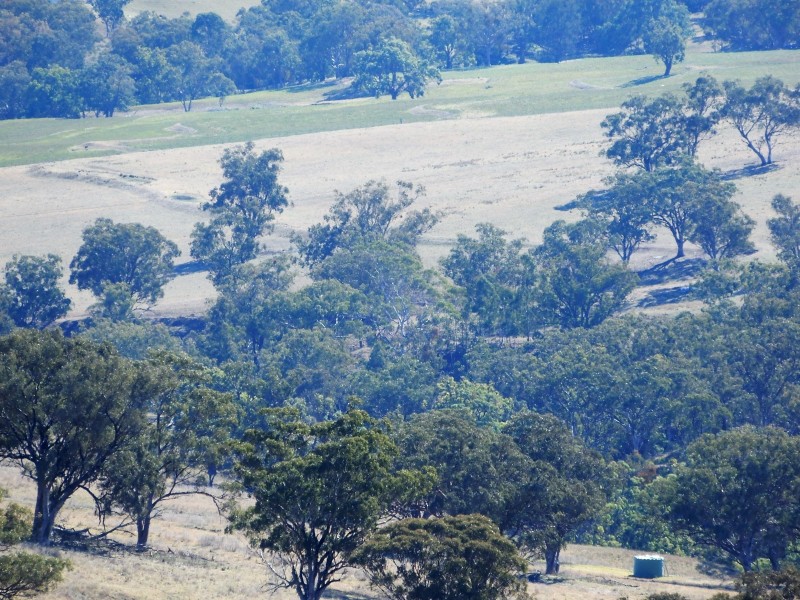 190 Coogah Road, Blandford NSW 2338