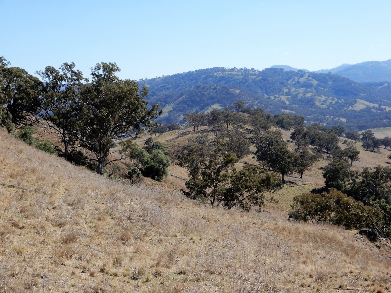 190 Coogah Road, Blandford NSW 2338