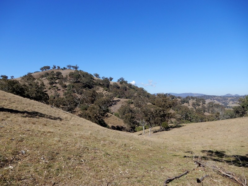 190 Coogah Road, Blandford NSW 2338