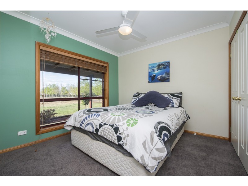 135 Moobi Road, Scone NSW 2337