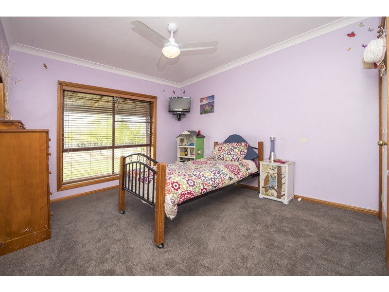 135 Moobi Road, Scone NSW 2337