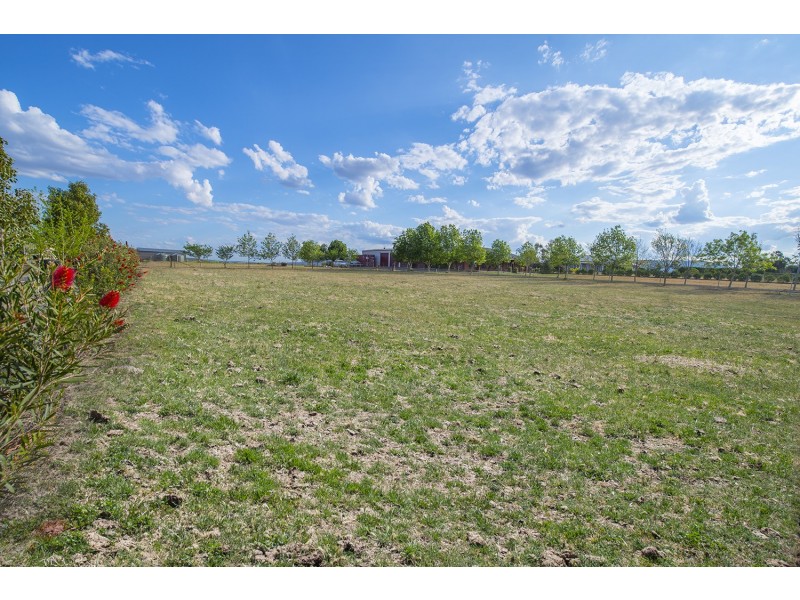 135 Moobi Road, Scone NSW 2337