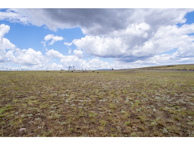 10 Bakewell Circuit, Scone NSW 2337