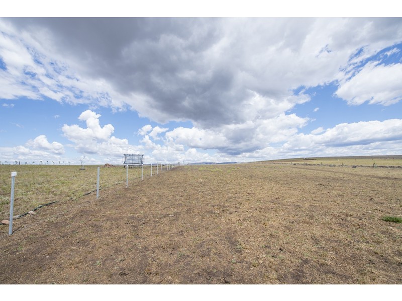 10 Bakewell Circuit, Scone NSW 2337