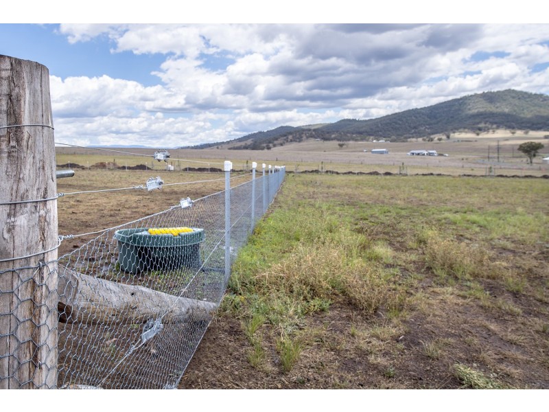 10 Bakewell Circuit, Scone NSW 2337