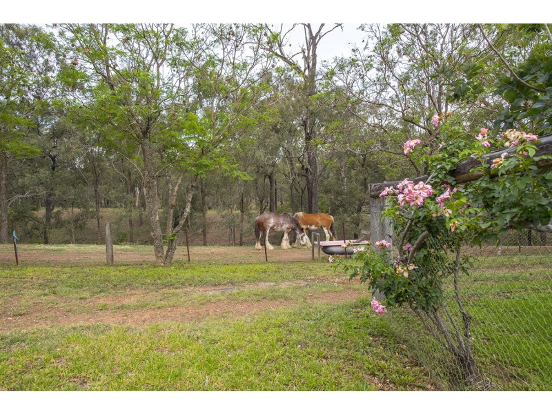 Lot 98 Dry Creek Road, Scone NSW 2337