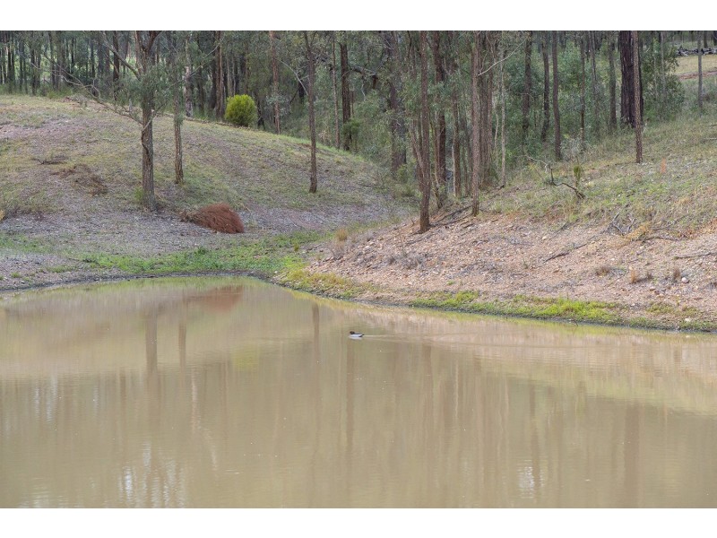 Lot 98 Dry Creek Road, Scone NSW 2337
