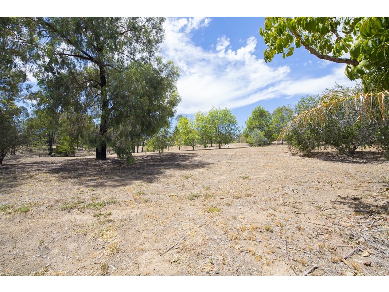 15 Merlot Street, Muswellbrook NSW 2333