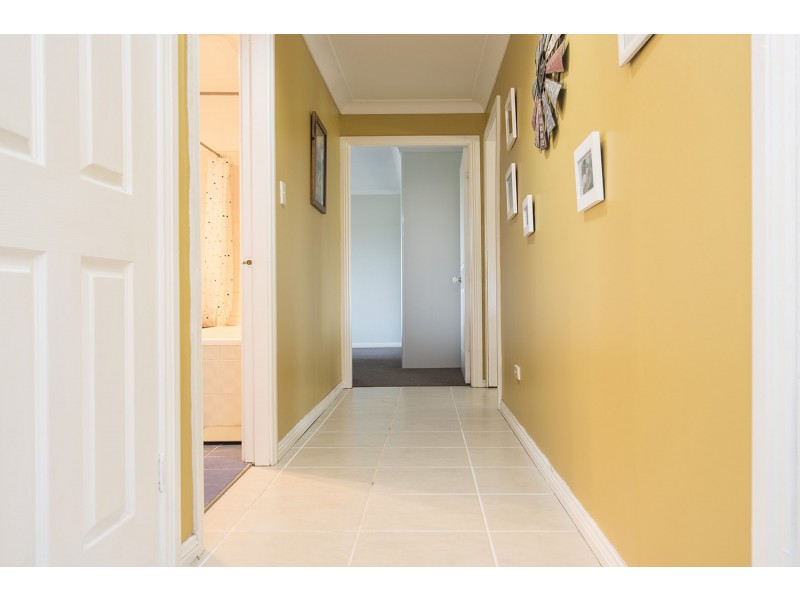 46 Mareeba Road, Parkville NSW 2337