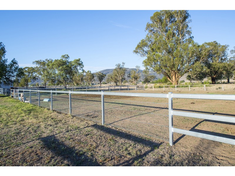 46 Mareeba Road, Parkville NSW 2337