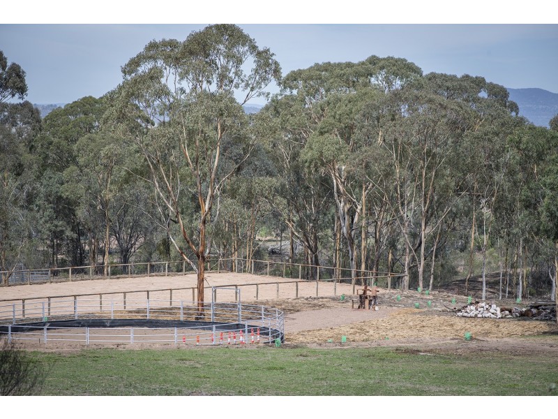 301 Merriwa Road, Denman NSW 2328
