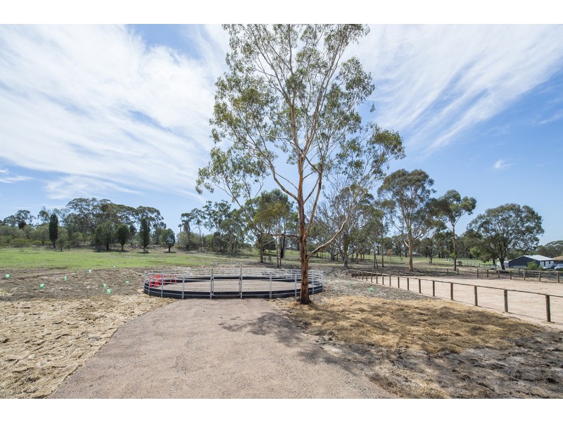 301 Merriwa Road, Denman NSW 2328