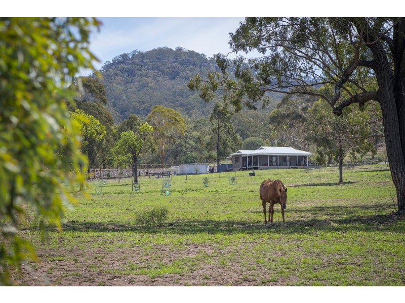 301 Merriwa Road, Denman NSW 2328