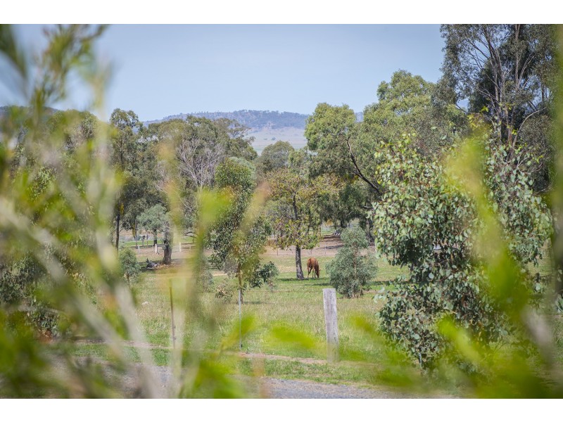 301 Merriwa Road, Denman NSW 2328