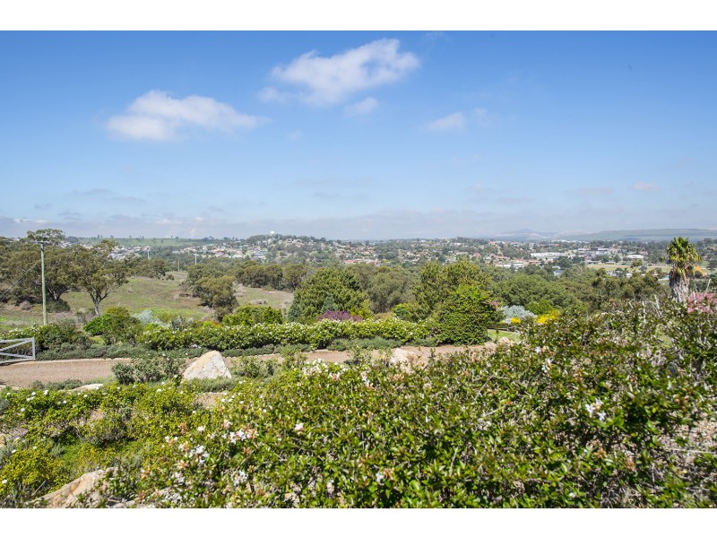 133 Coal Road, Muswellbrook NSW 2333